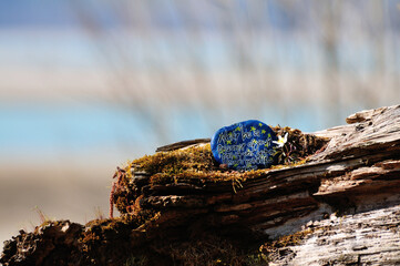 Quote painted on stone with wooden background