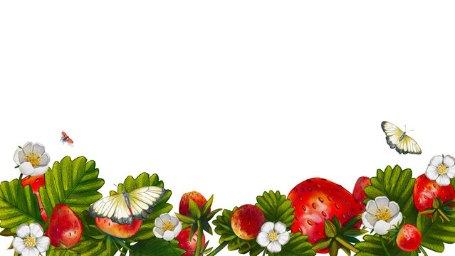 Banner with watercolor paint strawberries and leaves with a butterfly on a white background. Illustration of juicy summer berries, hand-drawn. Template of a frame for text, postcards, invitations.
