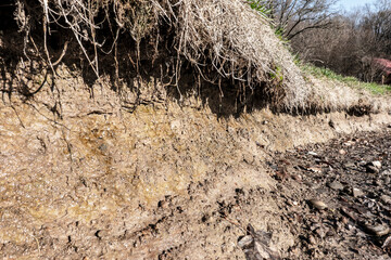 Lake shore erosion caused by water