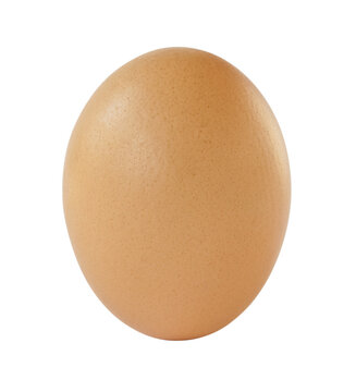 Raw food. Brown egg isolated on the transparent background