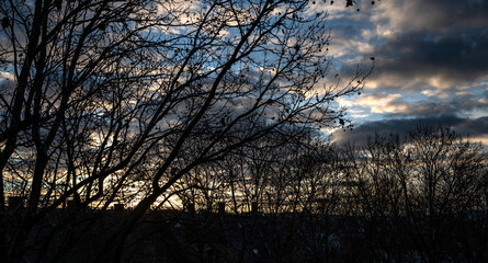 Wolkiger Himmel am Abend mit Baumkronen