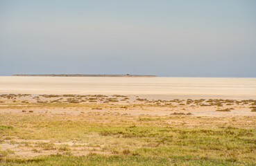 Fototapeta na wymiar Etosha National Park Landscape, Namibia