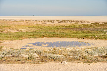 Fototapeta na wymiar Etosha National Park Landscape, Namibia