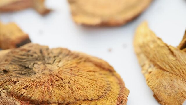 angle view herb HuZhang or Polygoni Cuspidati Rhizoma et Radix or Giant Knotweed Root rotating