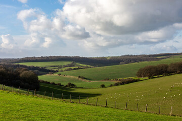 Looking out over the South Downs on a sunny day in January