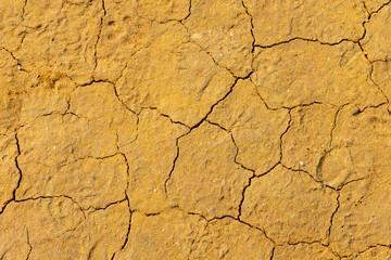 Dry and cracked soil in Peniche, Portugal.