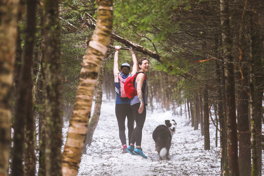 Women with dog hiking in forest, Mt Willard, New Hampshire, USA