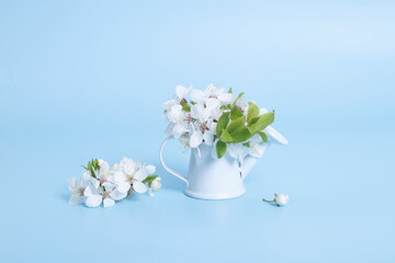Still life composition from cherry bloom bouquet in a decorative watering can. Spring blossom
