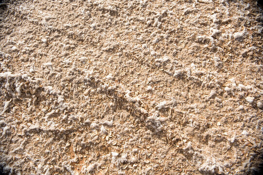 Detail of discarded cotton on the ground of a cotton gin.