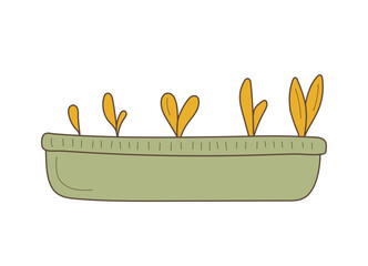 Sprout growth process. Growing plant. Growth processes. Vector illustration