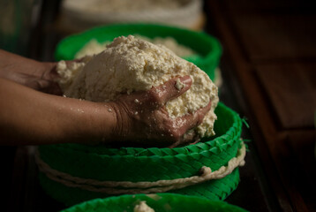 A woman works making Pecorino cheese in Quesos Oliva artisanal cheese making workshop  in Villaluenga del Rosario, Sierra de Grazalema Natural Park, Cadiz province, Andalusia, Spai