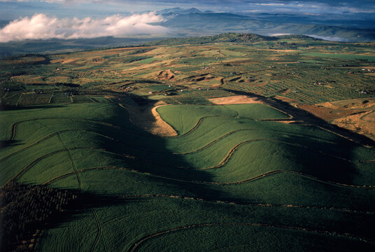 Timau and Mt. Kenya