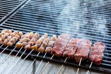 Close-up of skewers of raw meat and chicken on the grill.