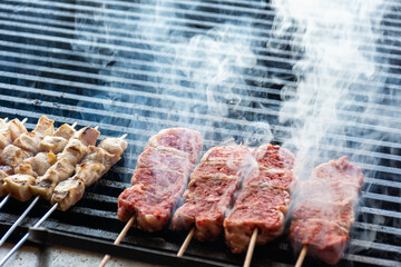 Close-up of skewers of raw meat and chicken on the grill.