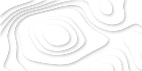 Abstract Luxury paper cut background, Abstract decoration, white pattern lines gradients, 3d Vector illustration, topographic canyon map light relief texture, curved layers.
