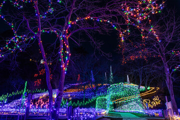 市原クォードの森のイルミネーション