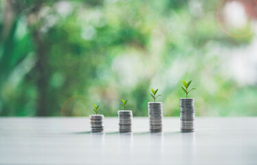 Close up of many coins with green bokeh background, Business Finance and Money concept. Trees growing on coins. investment to growing up of business future to sustainable. Coins on wooden table