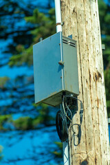 Fuse or electricity box on the side of aged wooden post with forest tree background in midday afternoon sun