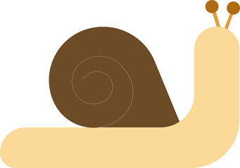 snail