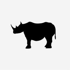 rhino isolated on white background