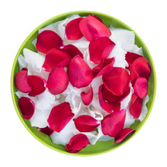Beautiful red white rose and gladiolus flower petals in green plate isolated on transparent background