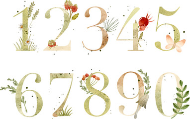 Watercolor numbers with natural elements, berries, mushrooms, flowers and texture 