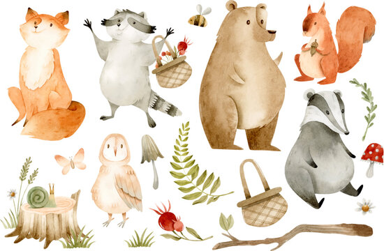 Forest animals and watercolor nature elements isolated clipart set