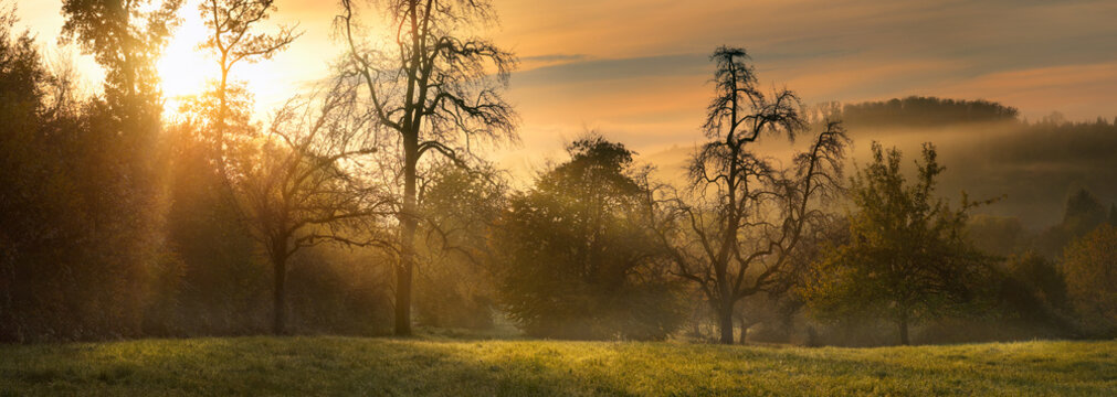 Misty panoramic rural landscape at sunrise, with warm moody colors and beams of sunlight illuminating beautiful bare trees