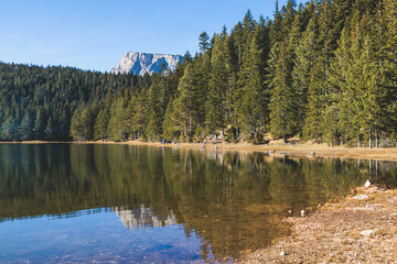 Fototapeta premium Beautiful view of Black lake, Crno Jezero in Durmitor National Park, Zabljak, northern Montenegro, landscape in a sunny day with blue sky, with glacial lake, forest hiking trail and mountain peaks
