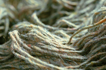 Threads of natural organic sheep wool. Unwound skein of olive green knitting yarn.