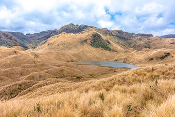 Cayambe Coca Ecological Reserve in Ecuador