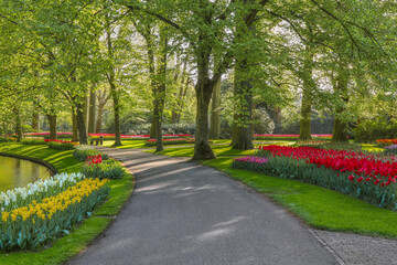Beautiful scenery in Keukenhof royal flower garden in the Netherlands with beautiful flowerbeds and no people