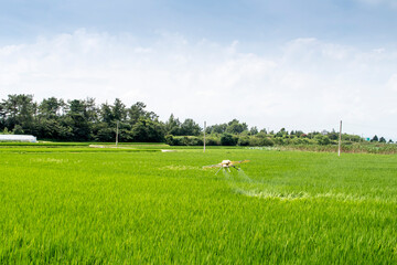 Agricultural drones on fresh grasses on green fields. Drone technology allows us to focus on agriculture faster and safer. Future new technologies have entered our lives directly. Edit High Resolution