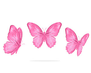 pink watercolor butterfly design hand drawn