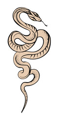 vector illustration of a snake, icon, sketch of an artistic tattoo, logo, freehand drawing, snake outline drawing
