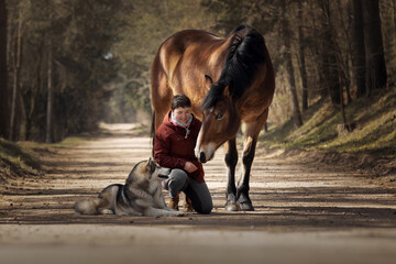 Girl with her beautiful horse and dog malamute
