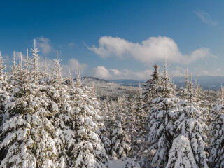 View of winter landscape and snow covered trees in Šumava National Park, Czech Republic.