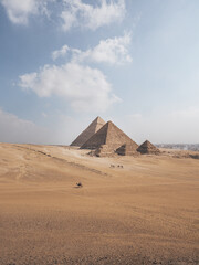 View of the pyramids in Giza, Cairo, Egypt with camels walking in foreground and city in background.