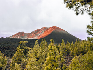 Volcano Chinyero and pine trees in Teide National Park, Tenerife.