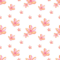 Watercolor plumeria flowers seamless pattern isolated on white background. Pink tropical floral illustration.