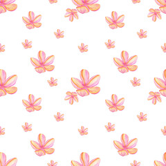 Watercolor plumeria flowers seamless pattern isolated on white background. Pink tropical floral illustration.