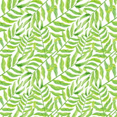 Fototapeta na wymiar Watercolor green tropical leaves seamless pattern isolated on white background. Simple jungle illustration.
