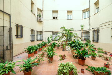 An inner courtyard of a building with a multitude of potted plants and palms