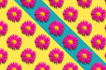 Fototapeta na wymiar Seamless pattern background pink tansy flower bud isolated on yellow background.