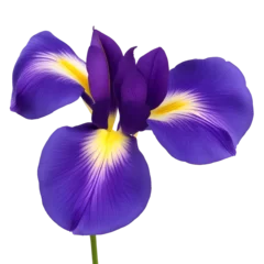 Meubelstickers iris flower close up marco good for design © slowbuzzstudio