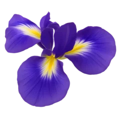 Schilderijen op glas iris flower close up marco good for design © slowbuzzstudio
