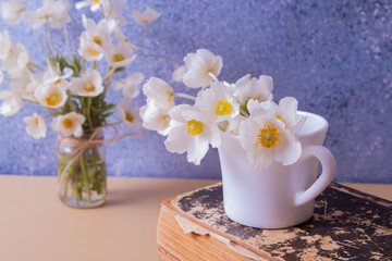 Anemones flower bouquet in a cup and vinage book. Spring, Mother's Day or March 8 still life composition