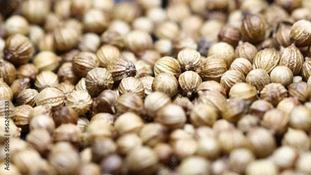 Poster natural dried coriander in a pile. camera movement from bottom to top