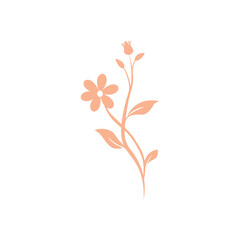 flower plant illustration natural vector design element