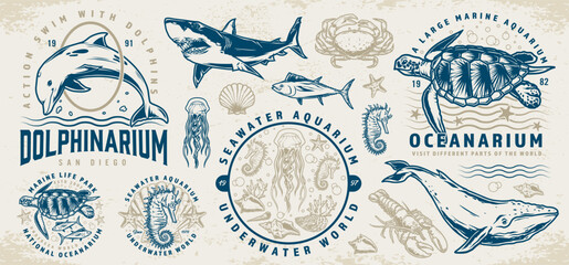 Marine animals stickers set colorful © DGIM studio